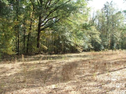 Ranch Property in Barnwell County, South Carolina