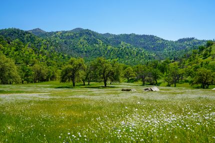 Ranch Property in Tulare County, California