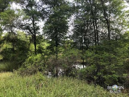 Farm Property in Bienville Parish, Louisiana