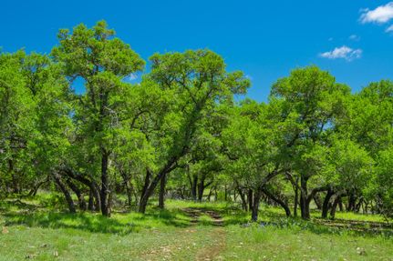 Timberland Property in Gillespie County, Texas