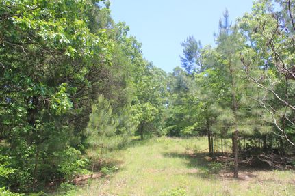 Farm Property in Tippah County, Mississippi