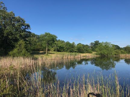 Property in Marshall County, Alabama