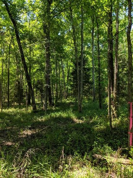 Farm Property in Chester County, South Carolina
