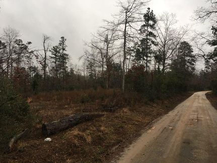 Residential Property in Angelina County, Texas