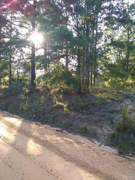 Farm Property in Laurens County, Georgia
