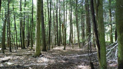 Farm Property in Tuscola County, Michigan