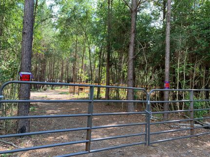 Ranch Property in Jasper County, Texas