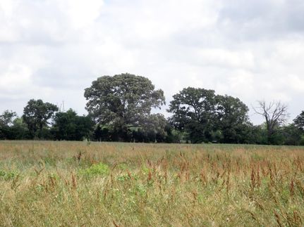 Farm Property in Van Zandt County, Texas