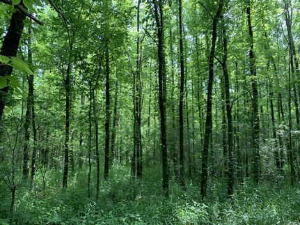 Farm Property in Dallas County, Alabama