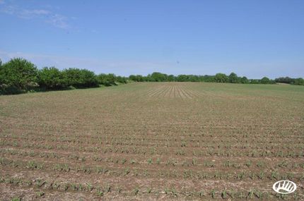 Farm Property in Champaign County, Ohio