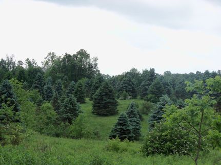 Farm Property in Carroll County, Ohio