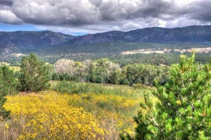 Timberland Property in Huerfano County, Colorado