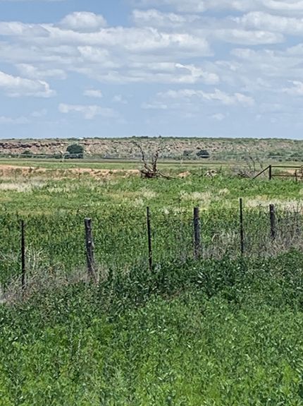 Farm Property in Oldham County, Texas