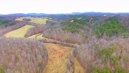 Undeveloped Land in Henry County, Virginia