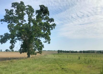 Ranch Property in Grady County, Georgia