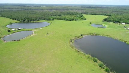 Property in Marion County, Florida