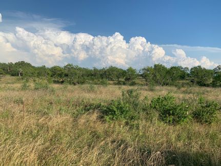 Ranch Property in Wilson County, Texas