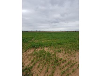 Property in Hardeman County, Texas