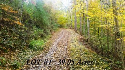 Farm Property in Gilmer County, West Virginia