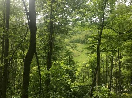 Recreational Property in Madison County, North Carolina