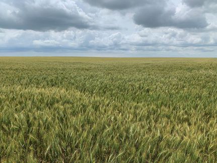 Farm Property in Meade County, Kansas