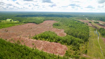 Hunting Land in Brantley County, Georgia