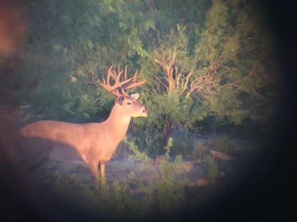 Property in Frio County, Texas