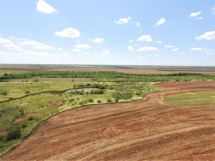 Timberland Property in Haskell County, Texas