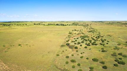 Undeveloped Land in Donley County, Texas