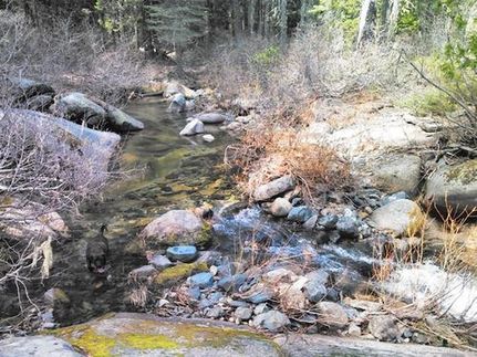 Farm Property in Plumas County, California