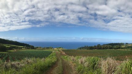 Ranch Property in Hawaii County, Hawaii