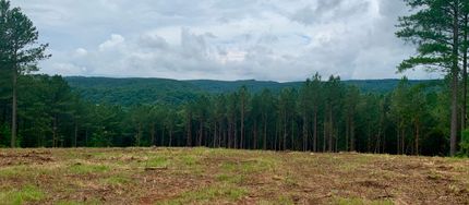 Timberland Property in Pickens County, Georgia