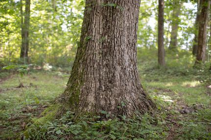 Property in Warren County, Kentucky