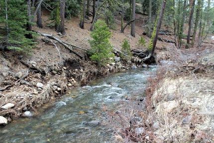 Timberland Property in Lassen County, California