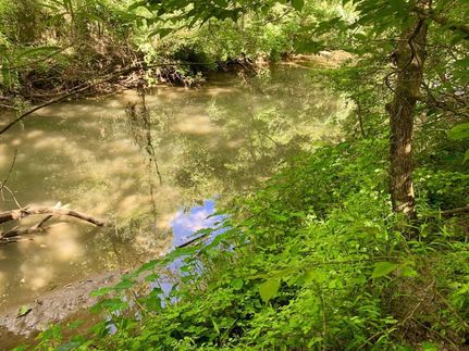 Farm Property in Wilcox County, Alabama