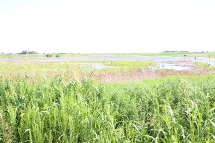 Farm Property in Hale County, Texas