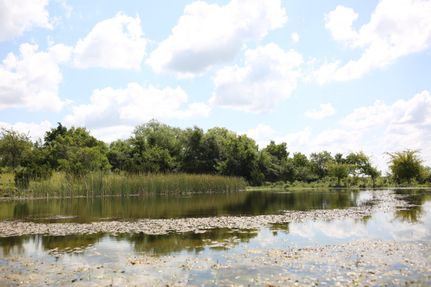 Recreational Property in Hamilton County, Texas