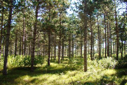 Ranch Property in Adams County, Wisconsin