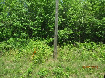 Residential Property in Charlotte County, Virginia