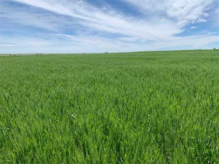 Commercial Property in Phillips County, Kansas