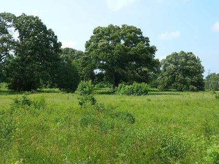 Farm Property in Titus County, Texas