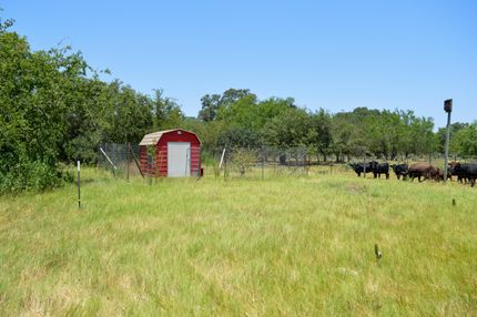 Undeveloped Land in Atascosa County, Texas