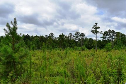 Property in Upson County, Georgia