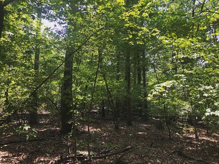 Property in Stanly County, North Carolina