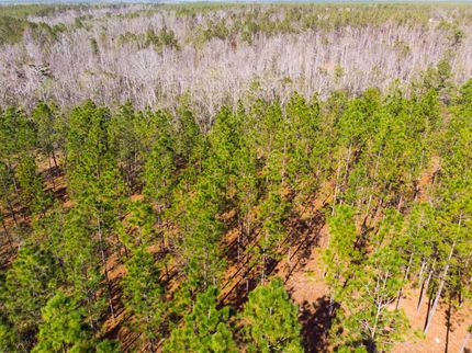 Farm Property in Gadsden County, Florida