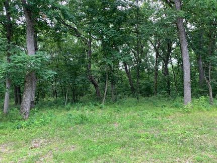 Farm Property in Appanoose County, Iowa