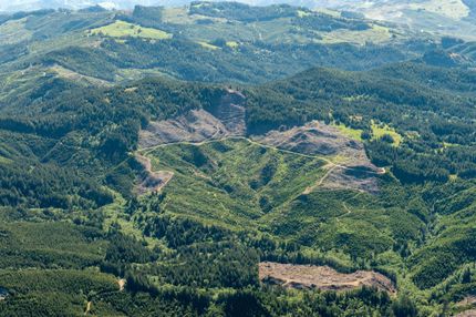 Farm Property in Curry County, Oregon