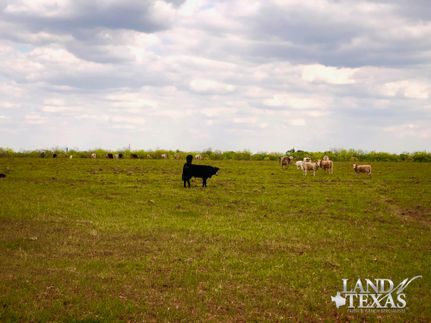 Farm Property in Atascosa County, Texas