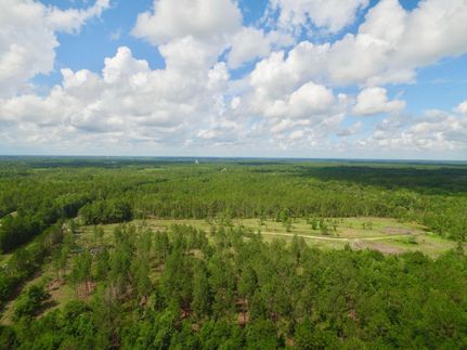 Hunting Land in Long County, Georgia