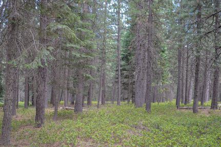 Undeveloped Land in Custer County, Colorado